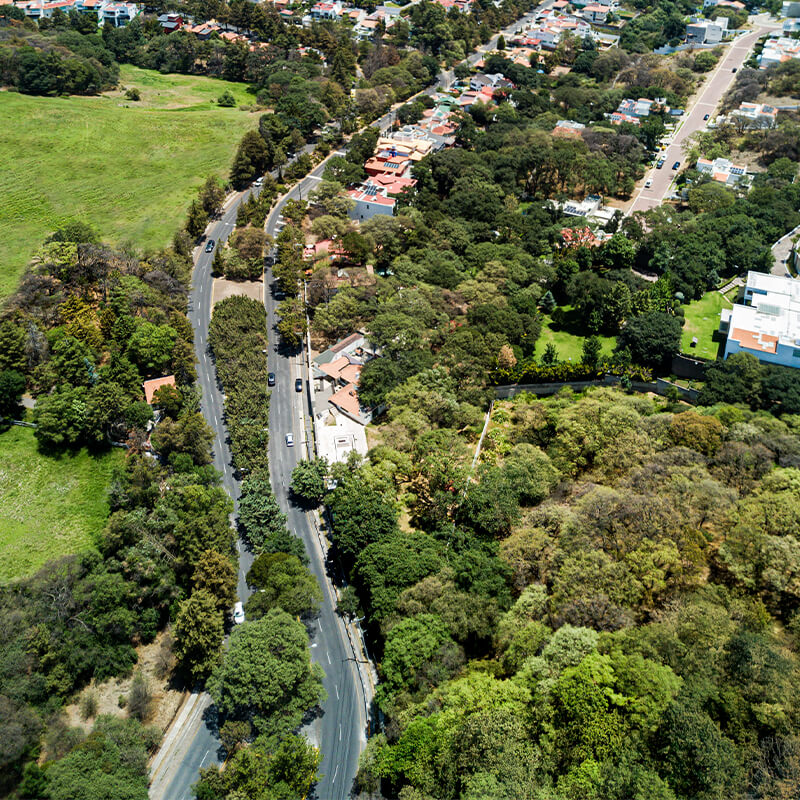 Condado de Sayavedra - Terrenos residenciales exclusivos en Zona Esmeralda con bosque privado y vistas panorámicas