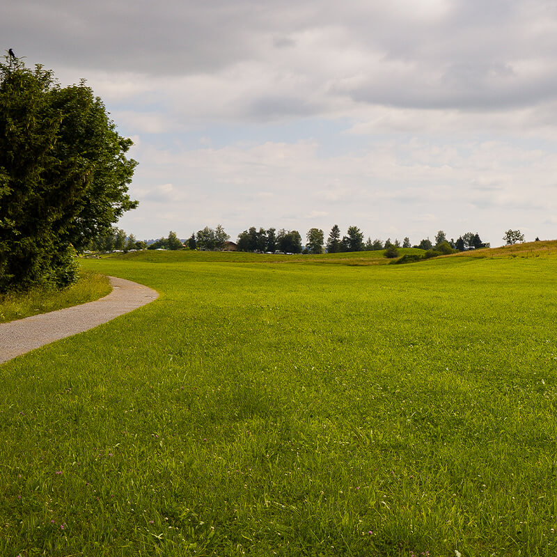 Condado de Sayavedra - Terrenos residenciales con seguridad 24/7 y entorno natural en Zona Esmeralda